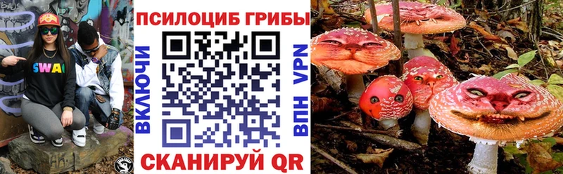 Псилоцибиновые грибы ЛСД  Подпорожье 