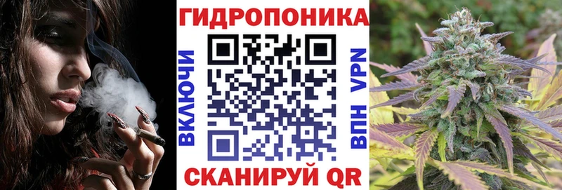 Шишки марихуана сатива Подпорожье